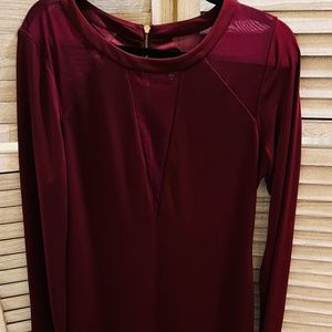 Express Red Long Sleeve Holiday Dress